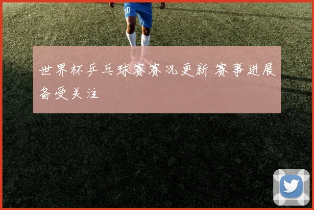 世界杯乒乓球赛赛况更新 赛事进展备受关注