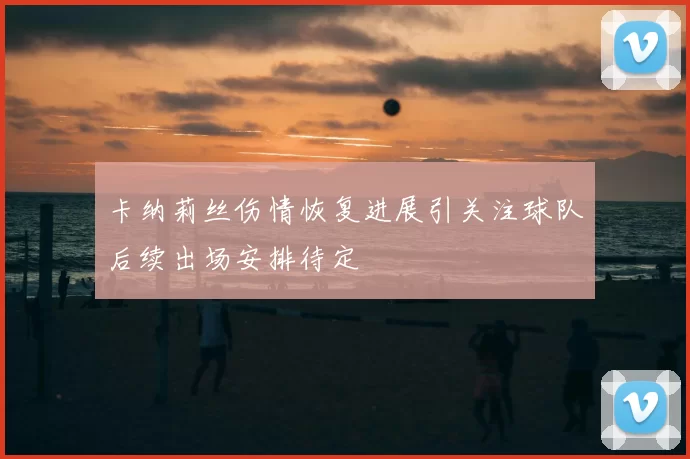 卡纳莉丝伤情恢复进展引关注球队后续出场安排待定