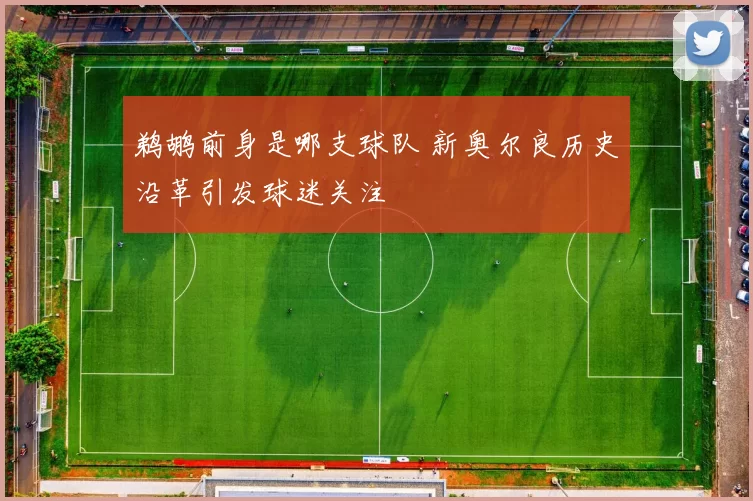 鹈鹕前身是哪支球队 新奥尔良历史沿革引发球迷关注