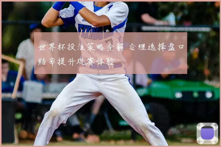 世界杯投注策略全解 合理选择盘口赔率提升观赛体验