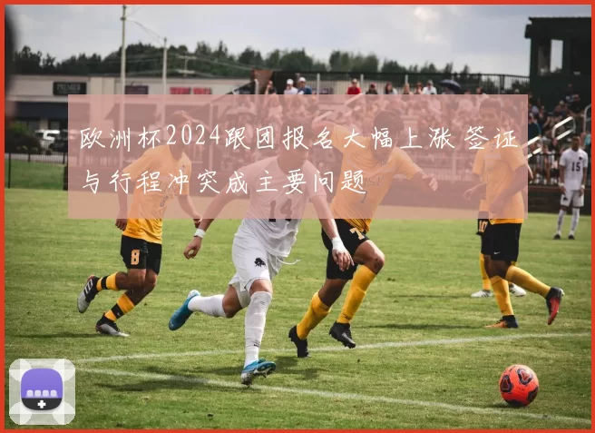 欧洲杯2024跟团报名大幅上涨 签证与行程冲突成主要问题