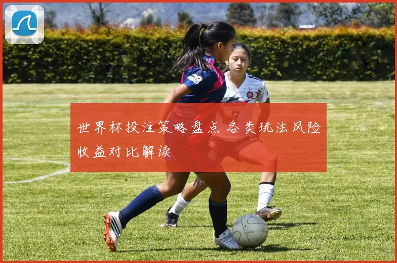 世界杯投注策略盘点 各类玩法风险收益对比解读