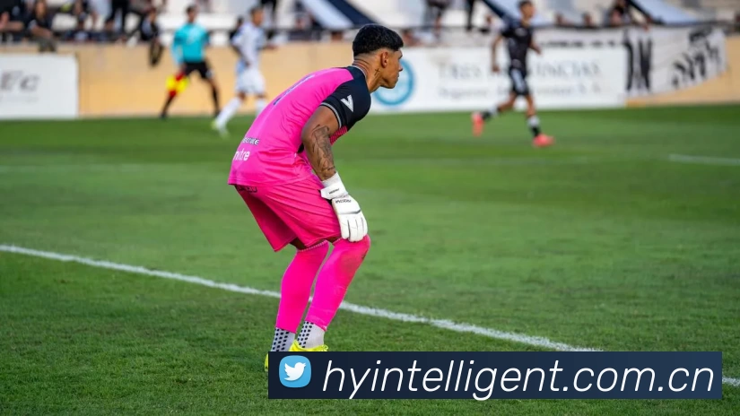 中国·尊龙(z6mg·官方认证)网站 - Official Platform平台生态图